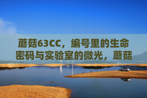 蘑菇63CC,编号里的生命密码与实验室的微光,蘑菇63CC,编号密码与实验室微光 蘑菇63CC,编号里的生命密码与实验室的微光,蘑菇63CC,编号密码与实验室微光