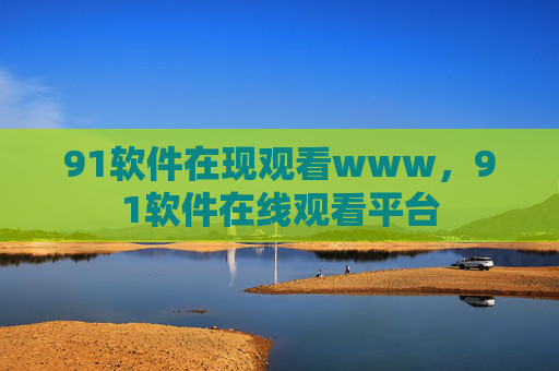 91软件在现观看www，91软件在线观看平台
