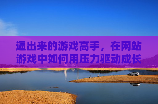 逼出来的游戏高手,在网站游戏中如何用压力驱动成长?网站游戏,压力如何逼出游戏高手 逼出来的游戏高手,在网站游戏中如何用压力驱动成长?网站游戏,压力如何逼出游戏高手