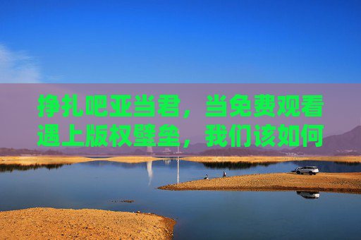 挣扎吧亚当君,当免费观看遇上版权壁垒,我们该如何拥抱正版?免费观看遇版权壁垒,我们该如何拥抱正版? 挣扎吧亚当君,当免费观看遇上版权壁垒,我们该如何拥抱正版?免费观看遇版权壁垒,我们该如何拥抱正版?