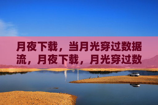 月夜下载，当月光穿过数据流，月夜下载，月光穿过数据流
