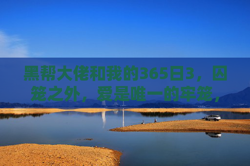黑帮大佬和我的365日3,囚笼之外,爱是唯一的牢笼,爱牢,黑帮大佬与我的365日 黑帮大佬和我的365日3,囚笼之外,爱是唯一的牢笼,爱牢,黑帮大佬与我的365日