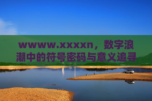 wwww.xxxxn，数字浪潮中的符号密码与意义追寻，数字浪潮，符号密码与意义追寻