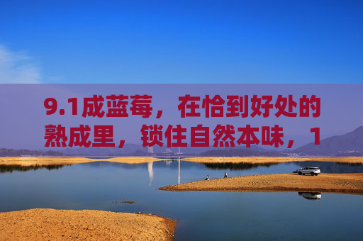9.1成蓝莓,在恰到好处的熟成里,锁住自然本味,1成熟蓝莓,锁住自然本味 9.1成蓝莓,在恰到好处的熟成里,锁住自然本味,1成熟蓝莓,锁住自然本味