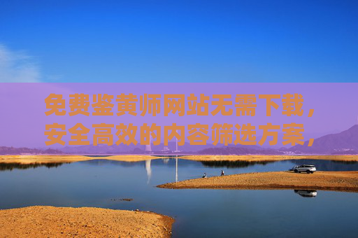 免费鉴黄师网站无需下载，安全高效的内容筛选方案，免费无需下载的安全高效鉴黄师网站