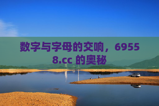 数字与字母的交响，69558.cc 的奥秘