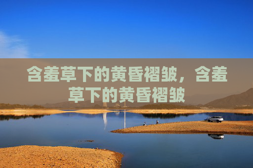 含羞草下的黄昏褶皱,含羞草下的黄昏褶皱 含羞草下的黄昏褶皱,含羞草下的黄昏褶皱