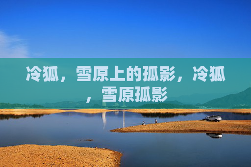冷狐,雪原上的孤影,冷狐,雪原孤影 冷狐,雪原上的孤影,冷狐,雪原孤影