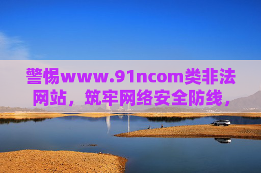 警惕www.91ncom类非法网站，筑牢网络安全防线，守护个人信息安全，警惕非法网站 筑牢网络安全防线守护个人信息安全