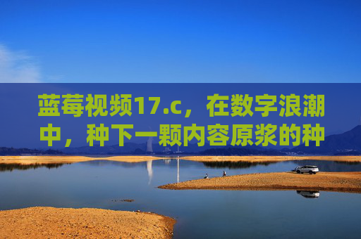 蓝莓视频17.c，在数字浪潮中，种下一颗内容原浆的种子，数字浪潮中，种下内容原浆的种子