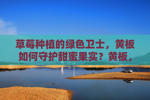 草莓种植的绿色卫士,黄板如何守护甜蜜果实?黄板,守护草莓甜蜜的绿色卫士 草莓种植的绿色卫士,黄板如何守护甜蜜果实?黄板,守护草莓甜蜜的绿色卫士