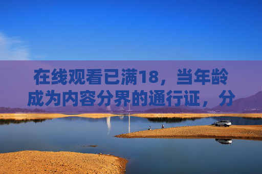 在线观看已满18,当年龄成为内容分界的通行证,分界的在线通行证 在线观看已满18,当年龄成为内容分界的通行证,分界的在线通行证