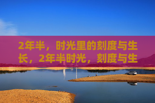 2年半,时光里的刻度与生长,2年半时光,刻度与生长 2年半,时光里的刻度与生长,2年半时光,刻度与生长