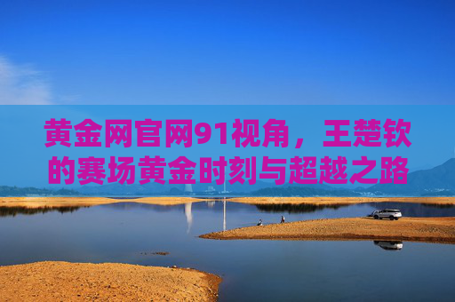 黄金网官网91视角，王楚钦的赛场黄金时刻与超越之路，91视角，王楚钦的赛场黄金时刻与超越之路