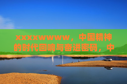 xxxxwwww，中国精神的时代回响与奋进密码，中国精神的时代回响与奋进密码