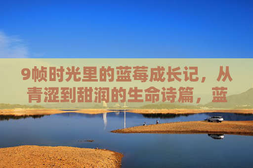 9帧时光里的蓝莓成长记,从青涩到甜润的生命诗篇,蓝莓成长诗篇,9帧时光里的青涩与甜润 9帧时光里的蓝莓成长记,从青涩到甜润的生命诗篇,蓝莓成长诗篇,9帧时光里的青涩与甜润