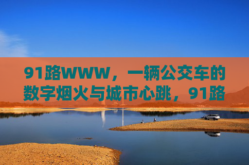 91路WWW，一辆公交车的数字烟火与城市心跳，91路公交，数字烟火与城市脉动