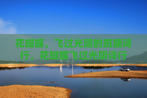 花蝴蝶,飞过光阴的斑斓诗行,花蝴蝶飞过光阴诗行 花蝴蝶,飞过光阴的斑斓诗行,花蝴蝶飞过光阴诗行