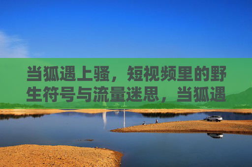 当狐遇上骚,短视频里的野生符号与流量迷思,当狐遇上骚,短视频野生符号的流量迷思 当狐遇上骚,短视频里的野生符号与流量迷思,当狐遇上骚,短视频野生符号的流量迷思