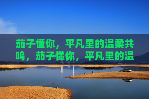 茄子懂你,平凡里的温柔共鸣,茄子懂你,平凡里的温柔共鸣 茄子懂你,平凡里的温柔共鸣,茄子懂你,平凡里的温柔共鸣