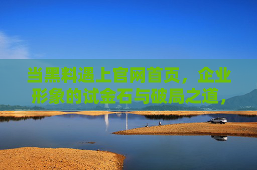 当黑料遇上官网首页，企业形象的试金石与破局之道，黑料遇上官网首页，企业形象试金石与破局之道