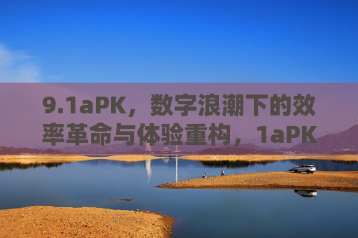 9.1aPK，数字浪潮下的效率革命与体验重构，1aPK，数字浪潮下的效率革命与体验重构