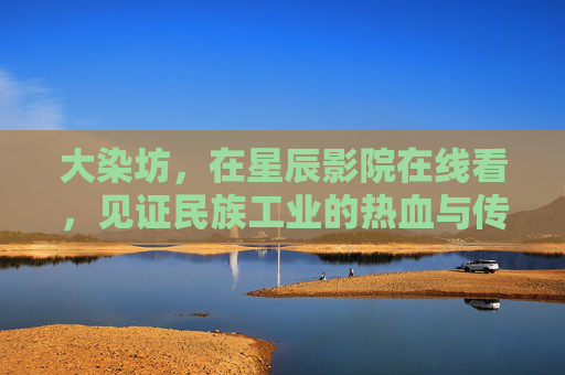 大染坊，在星辰影院在线看，见证民族工业的热血与传奇，大染坊，见证民族工业的热血与传奇