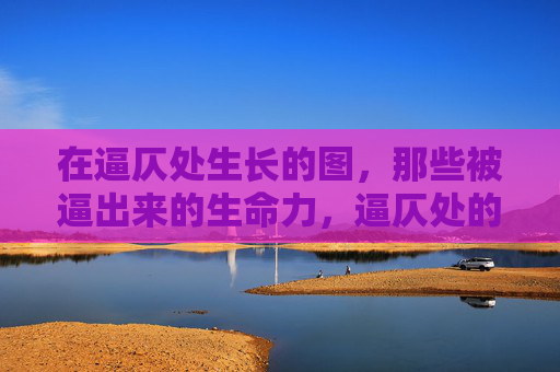 在逼仄处生长的图,那些被逼出来的生命力,逼仄处的生命力 在逼仄处生长的图,那些被逼出来的生命力,逼仄处的生命力