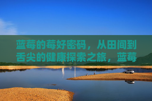 蓝莓的莓好密码，从田间到舌尖的健康探索之旅，蓝莓的莓好密码，从田间到舌尖的健康探索