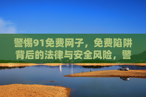 警惕91免费网子，免费陷阱背后的法律与安全风险，警惕91免费网子，免费陷阱的法律与安全风险