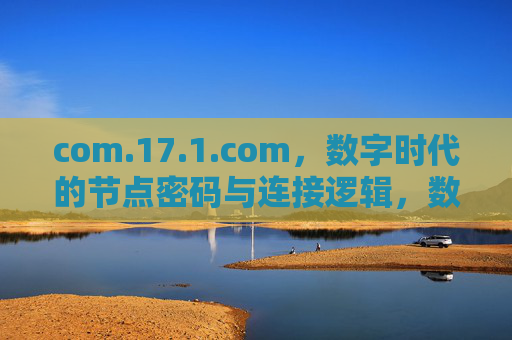com.17.1.com,数字时代的节点密码与连接逻辑,数字时代的节点密码与连接逻辑 com.17.1.com,数字时代的节点密码与连接逻辑,数字时代的节点密码与连接逻辑