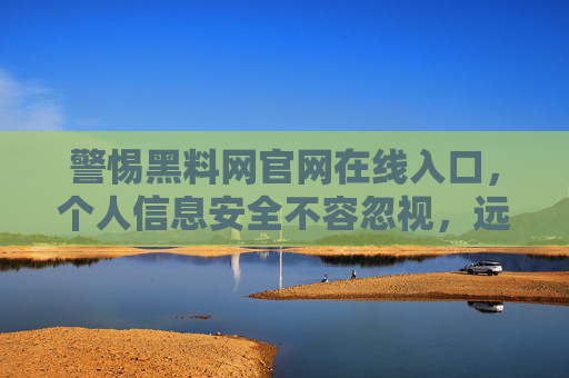警惕黑料网官网在线入口，个人信息安全不容忽视，远离非法信息平台，警惕黑料网官网在线入口，个人信息安全不容忽视