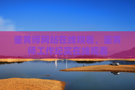 鉴黄师网站在线观看，鉴黄师工作纪实在线观看