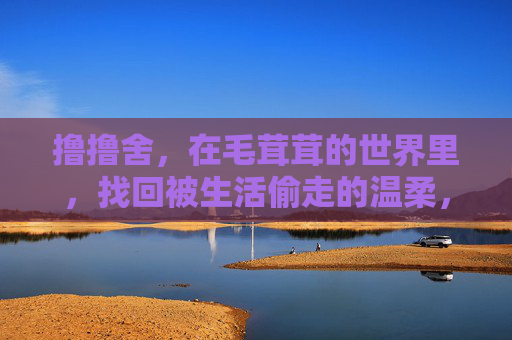 撸撸舍，在毛茸茸的世界里，找回被生活偷走的温柔，撸撸舍，在毛茸茸的世界，找回被生活偷走的温柔