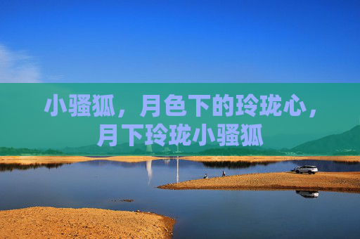 小骚狐,月色下的玲珑心,月下玲珑小骚狐 小骚狐,月色下的玲珑心,月下玲珑小骚狐