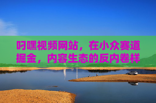 叼嘿视频网站，在小众赛道掘金，内容生态的反内卷样本，叼嘿视频，小众赛道的反内卷掘金样本