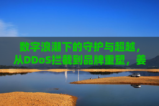 数字浪潮下的守护与超越,从DDoS拦截到品牌重塑,姜青崆与超918的时代答卷,数字浪潮中,姜青崆与超918以DDoS守护到品牌重塑书写时代答卷 数字浪潮下的守护与超越,从DDoS拦截到品牌重塑,姜青崆与超918的时代答卷,数字浪潮中,姜青崆与超918以DDoS守护到品牌重塑书写时代答卷