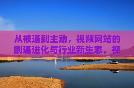 从被逼到主动，视频网站的倒逼进化与行业新生态，视频网站的倒逼进化与行业新生态
