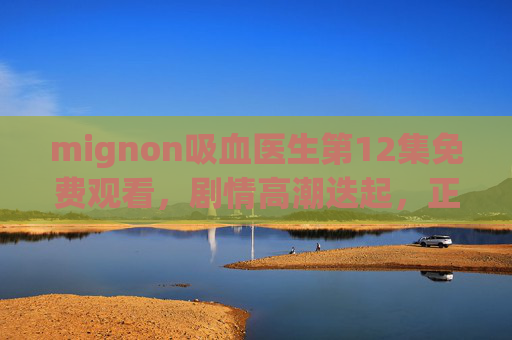 mignon吸血医生第12集免费观看，剧情高潮迭起，正版观看渠道全解析，mignon吸血医生第12集免费看，剧情高潮迭起，正版观看渠道全解析