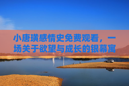 小唐璜感情史免费观看，一场关于欲望与成长的银幕寓言，小唐璜感情史，欲望与成长的银幕寓言