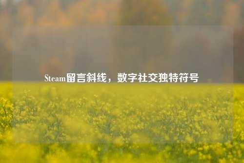 Steam留言斜线，数字社交独特符号