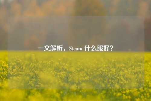 一文解析，Steam 什么服好？