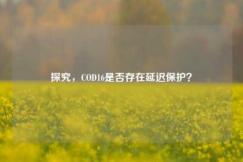 探究，COD16是否存在延迟保护？