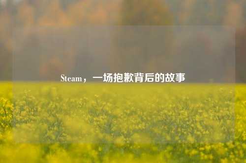 Steam，一场抱歉背后的故事