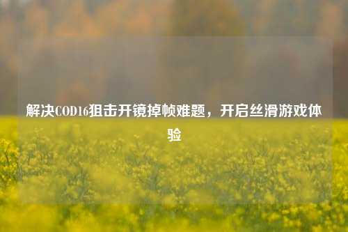 解决COD16狙击开镜掉帧难题，开启丝滑游戏体验