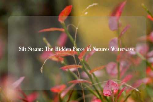 Silt Steam: The Hidden Force in Natures Waterways