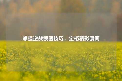 掌握逆战截图技巧，定格精彩瞬间