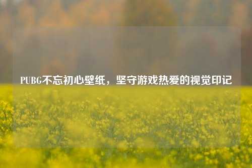 PUBG不忘初心壁纸，坚守游戏热爱的视觉印记