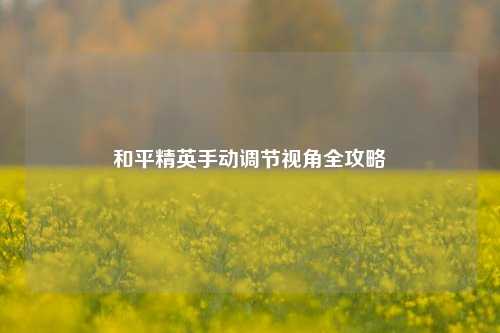 和平精英手动调节视角全攻略