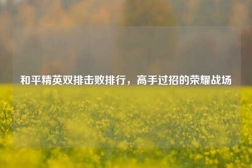 和平精英双排击败排行，高手过招的荣耀战场